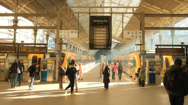 Découvrez les secrets de la permaculture urbaine : astuces essentielles pour jardiner en milieu urbain