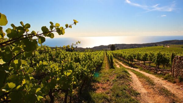 Top 10 séjours en occitanie pour des vacances baignées de soleil